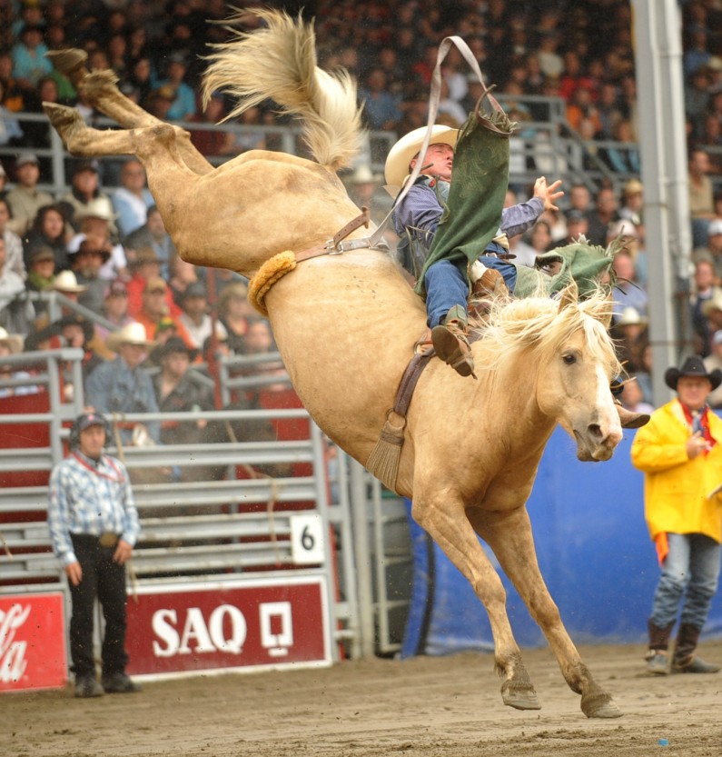 Worlds Tiniest and Most Adorable Rodeo Captured On Camera