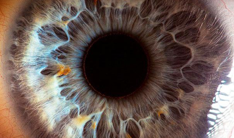 These 14 Incredible Photos Demonstrate The Complexity of The Human Eyes