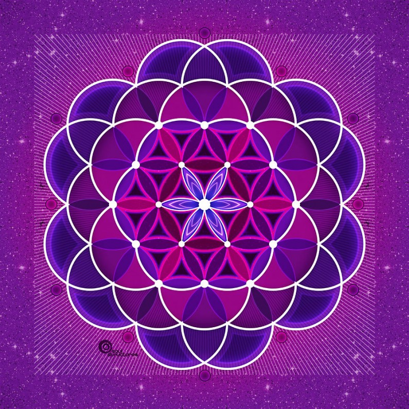 Dolphins Demonstrate The Flower of Life In Action