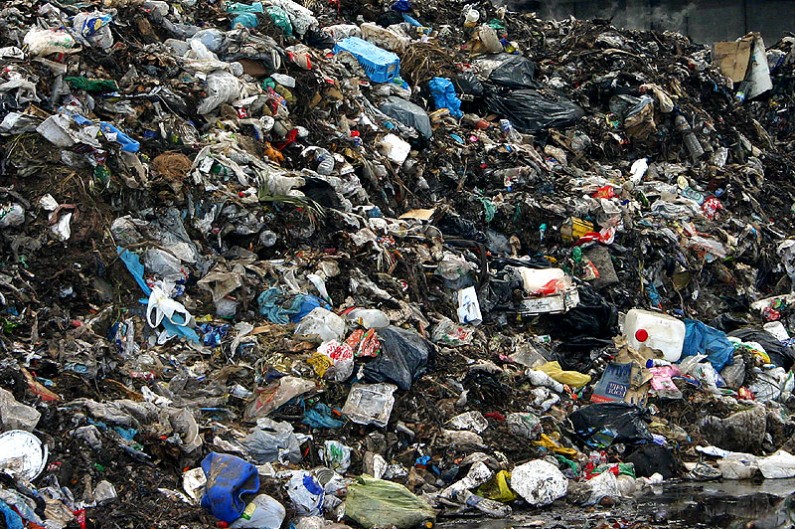 Dutch Artist Cleans Up Garbage On His Way To Work