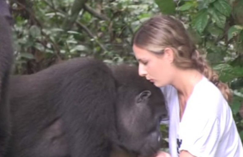 A Reunion Between This Woman and Her Gorilla Friend!