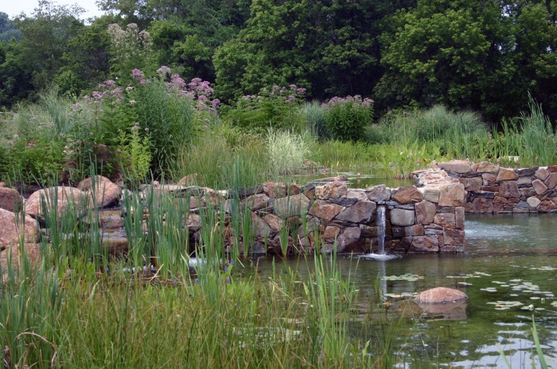 Pool That Uses Plants Instead of Chemicals To Keep Clean