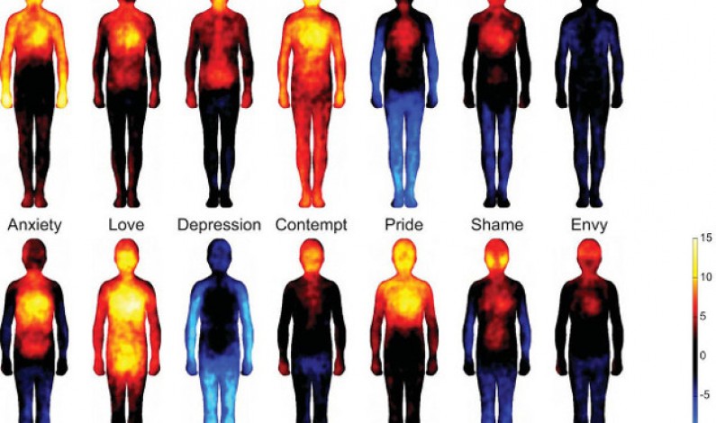Research Mapping Human Emotions Shows Strong Mind Body Connection