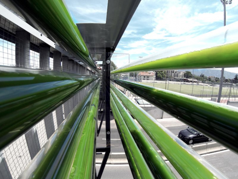 Freeway Algae Garden Turns CO2 Emissions Into Energy