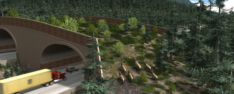 Washington State To Construct First Wildlife Bridge Over Busy Highway