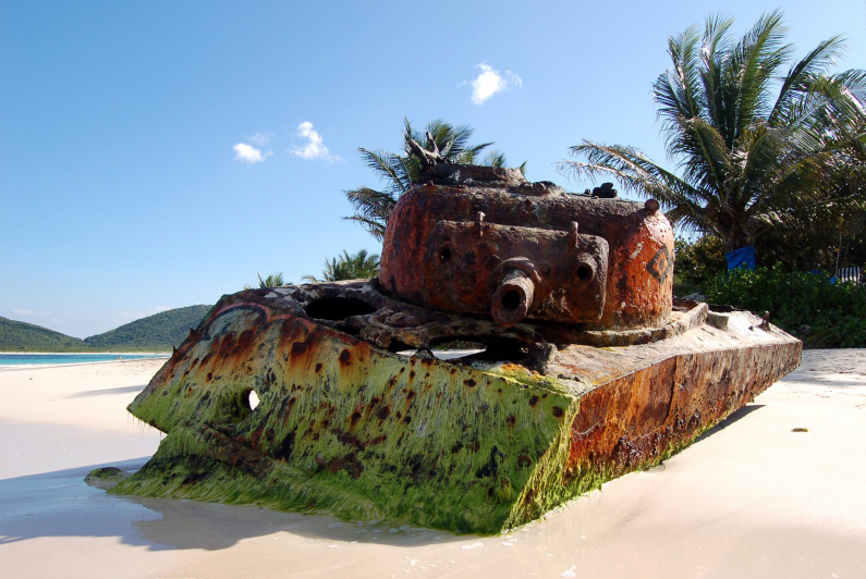 A Terribly Beautiful Contrast: Nature and War.